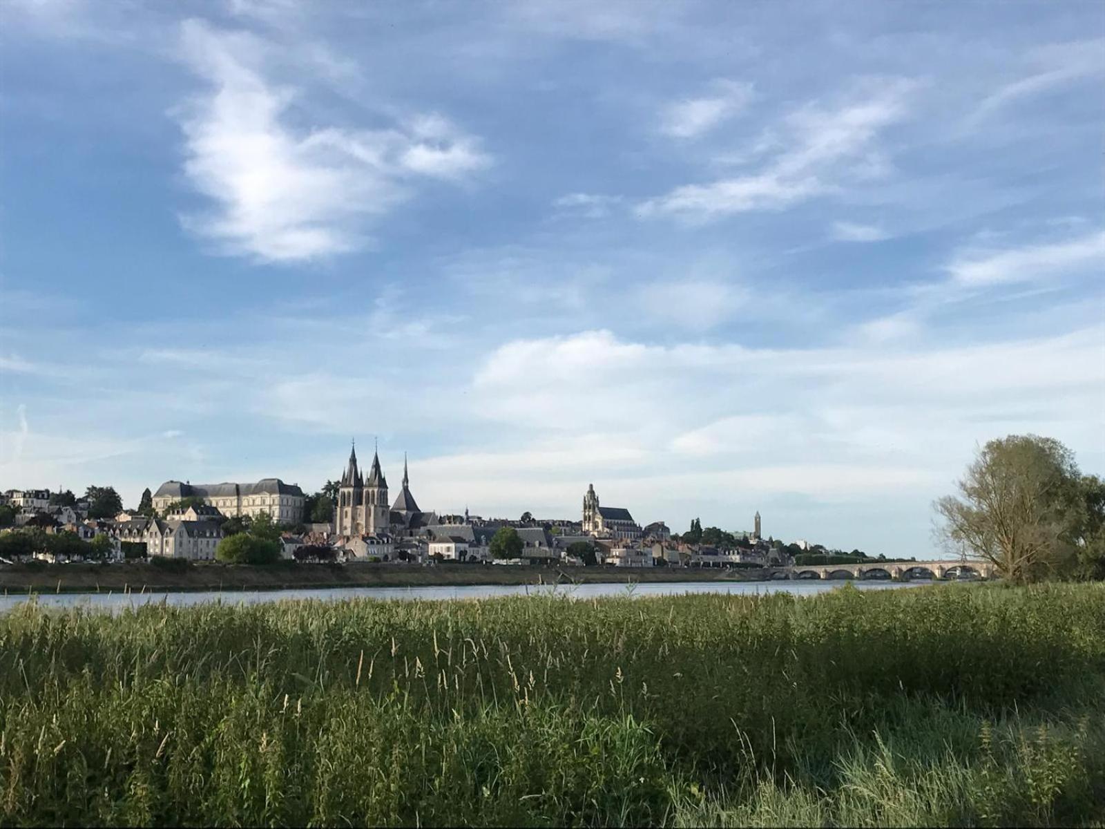 블루아 Quai De La Loire 아파트 외부 사진