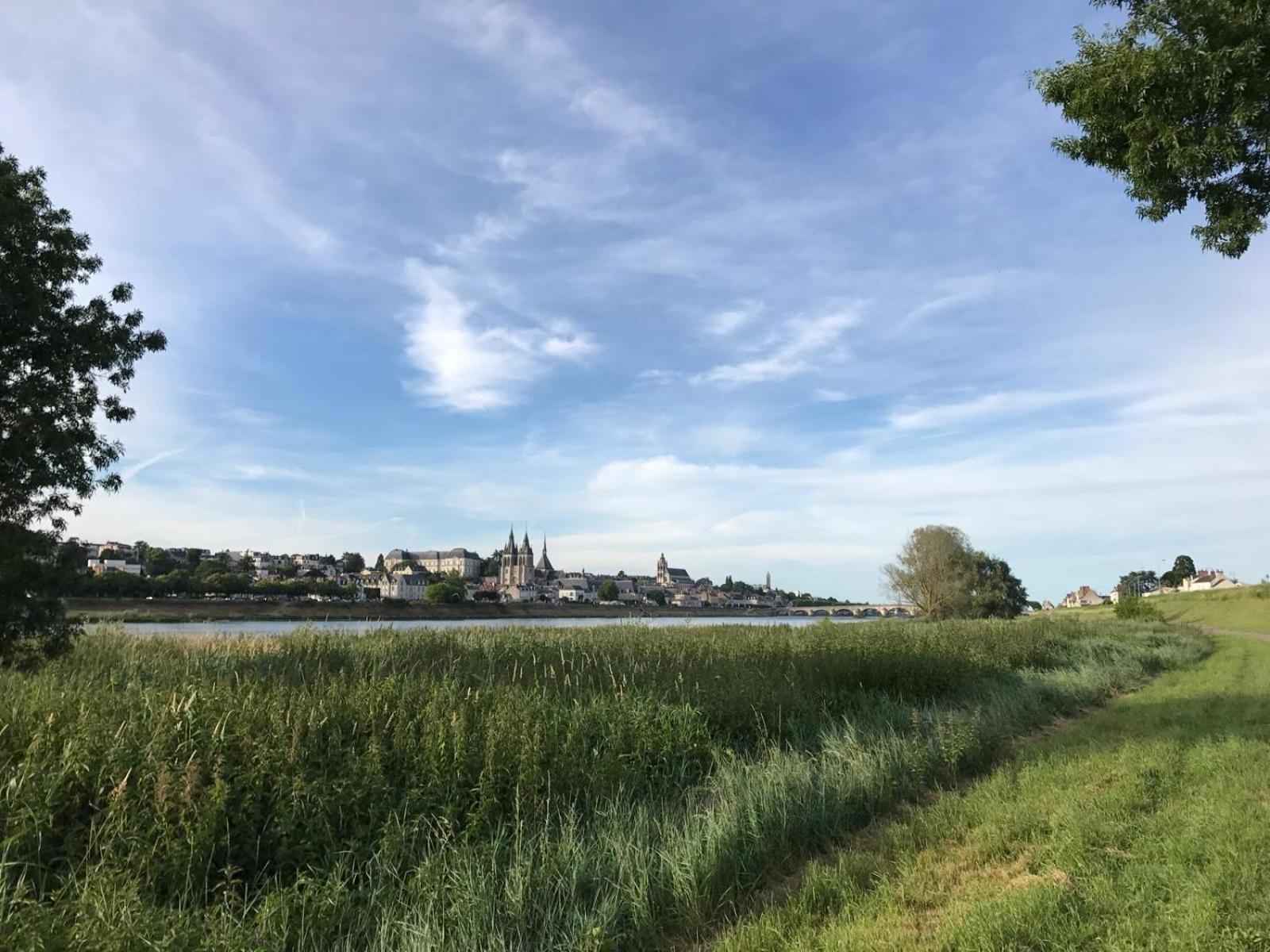 블루아 Quai De La Loire 아파트 외부 사진