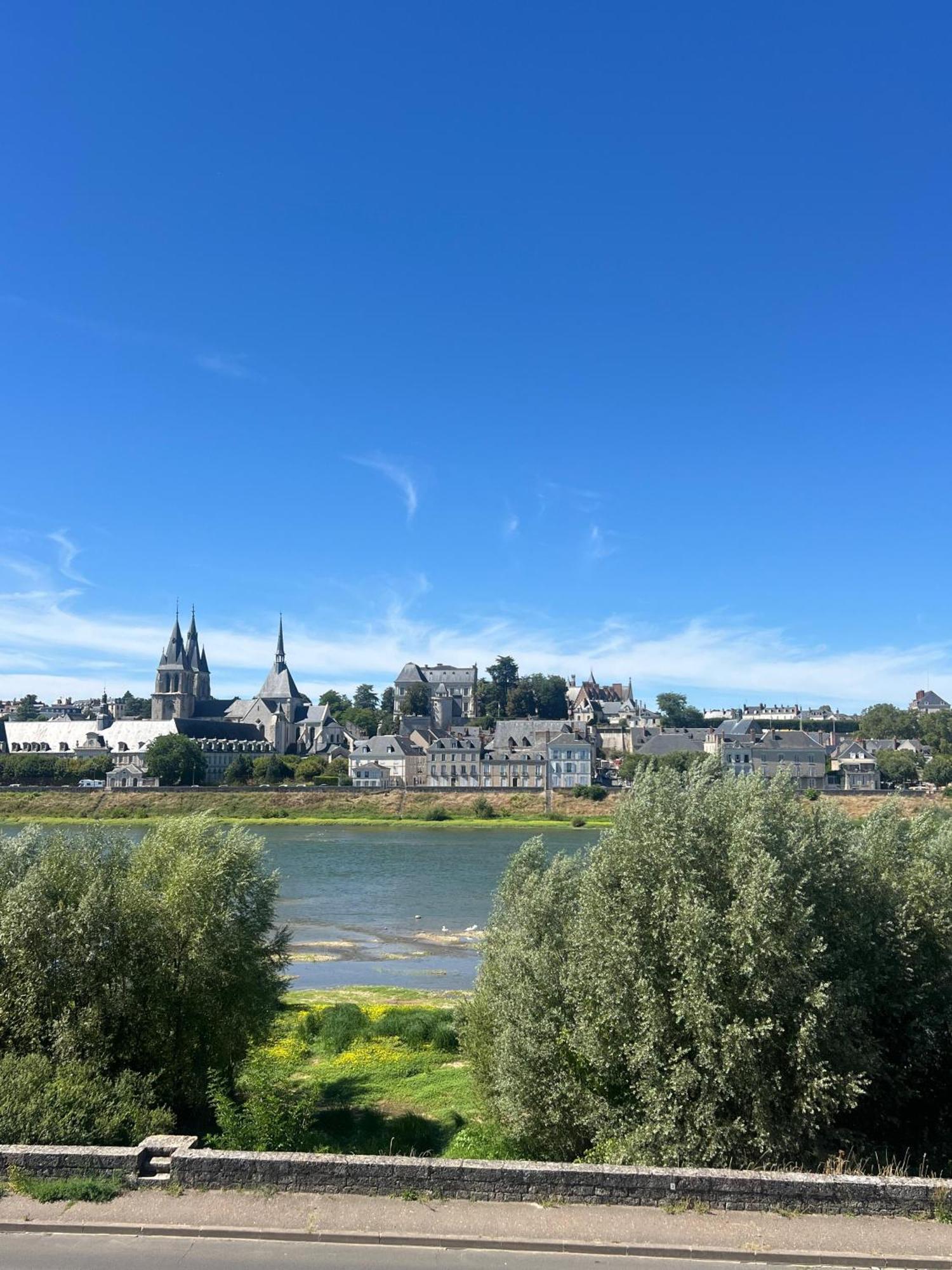 블루아 Quai De La Loire 아파트 외부 사진