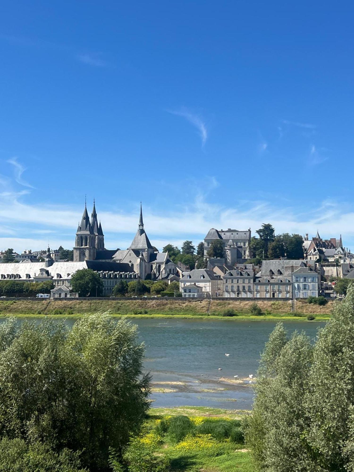 블루아 Quai De La Loire 아파트 외부 사진